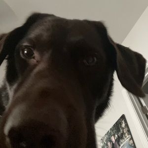 Meet your Posher, Natalie